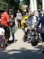 /album/detsky-domov-zitavce/img-20170527-132811-jpg/